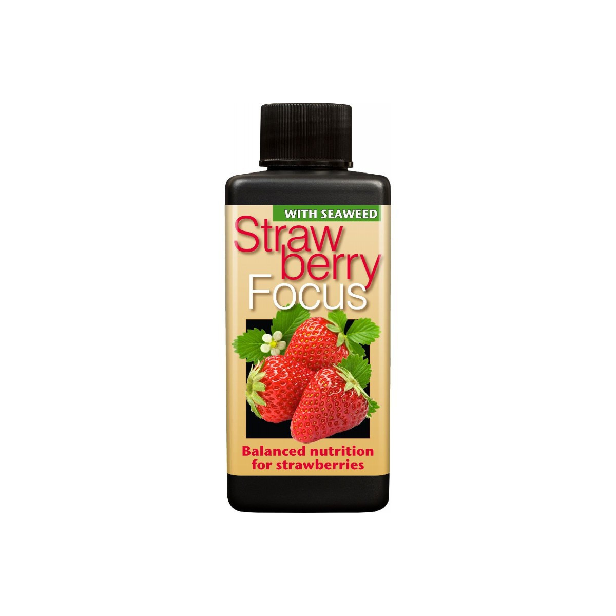 Strawberry Focus hnojivo na jahody - 300 ml