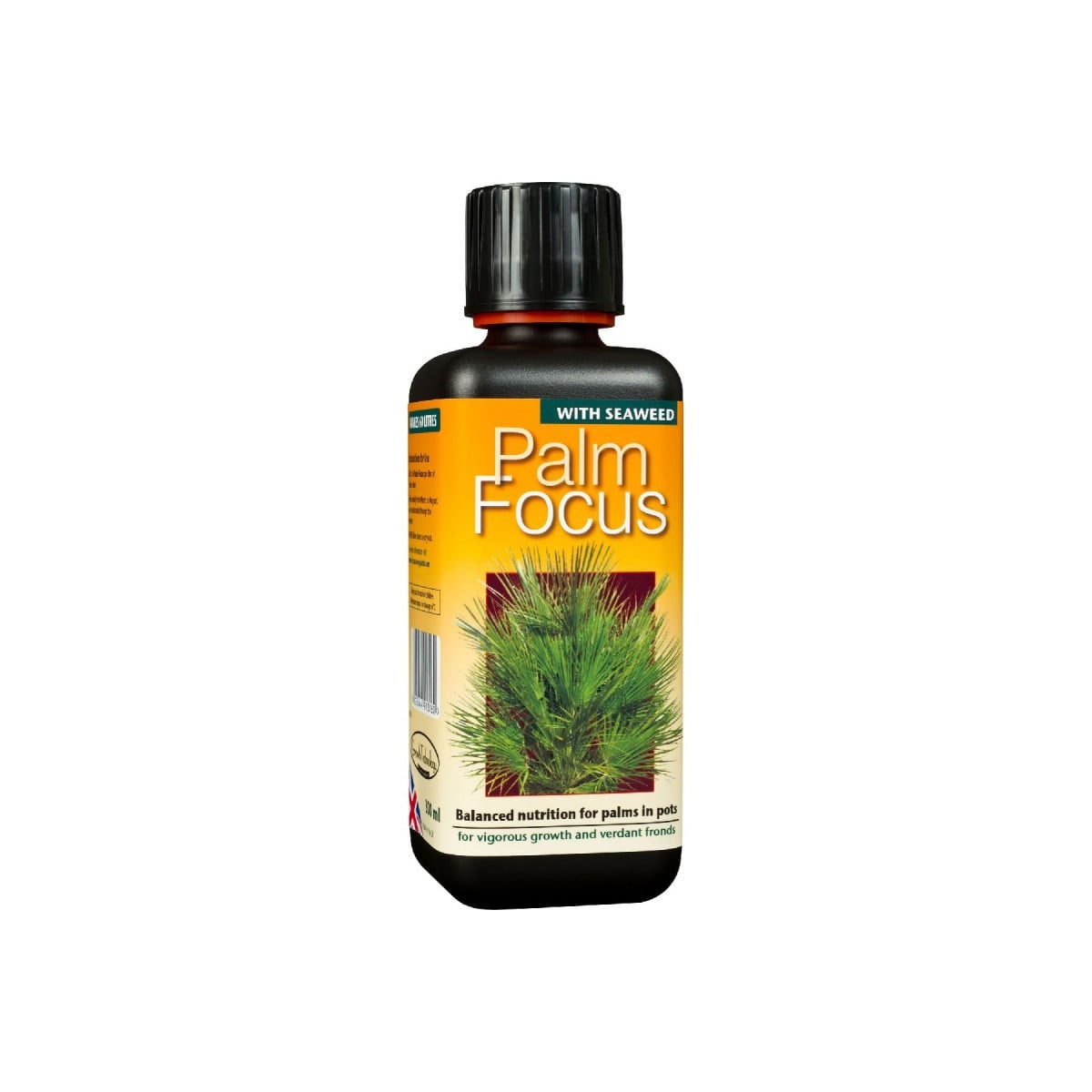 Palm focus - 100 ml