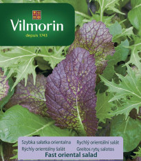 Vilmorin - Rychlý orientální salát - semena - 2 g