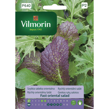 Vilmorin - Rychlý orientální salát - semena - 2 g