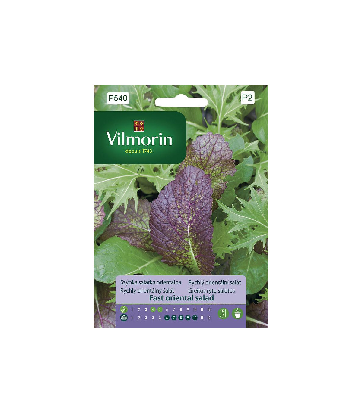 Vilmorin - Rychlý orientální salát - semena - 2 g