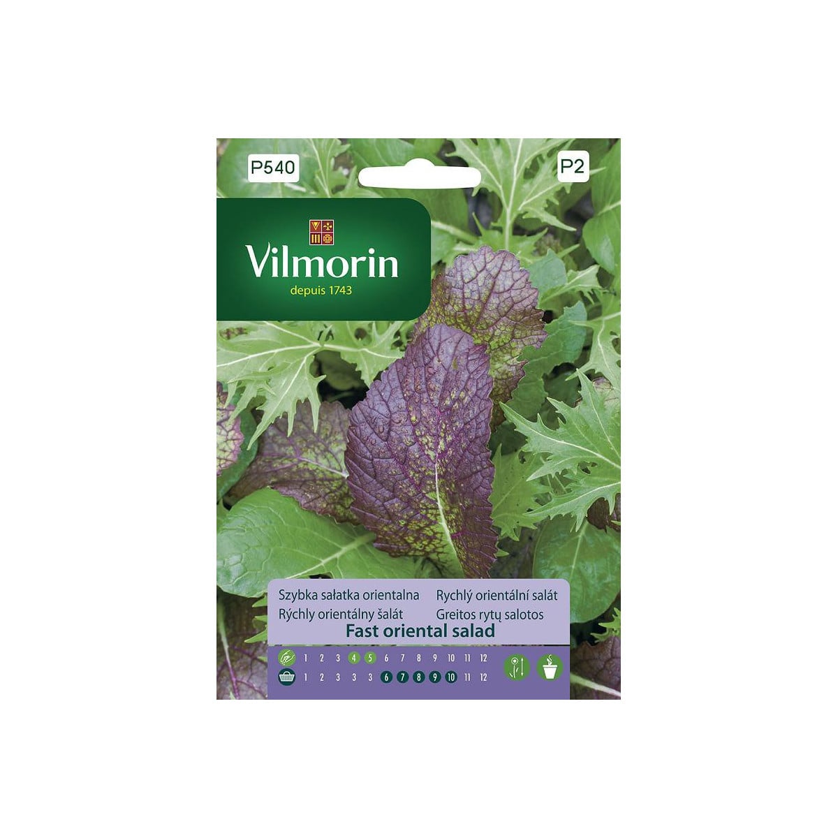 Vilmorin - Rychlý orientální salát - semena - 2 g