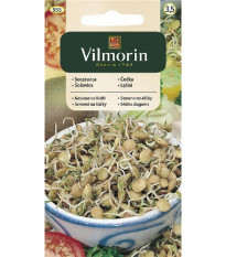 Semena na klíčky - Čočka - 20 g