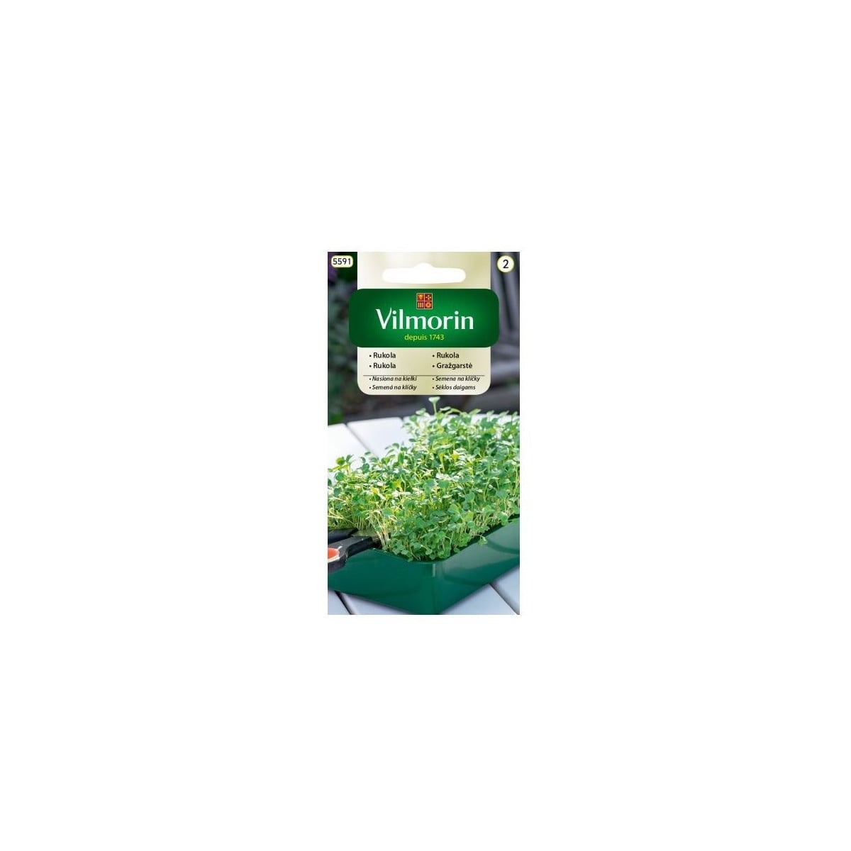 Semena na klíčky - Rukola - 10 g