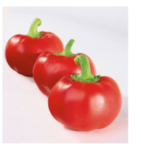 Paprika rajčatová Topgirl - Capsicum annuum - prodej semen - 7 ks