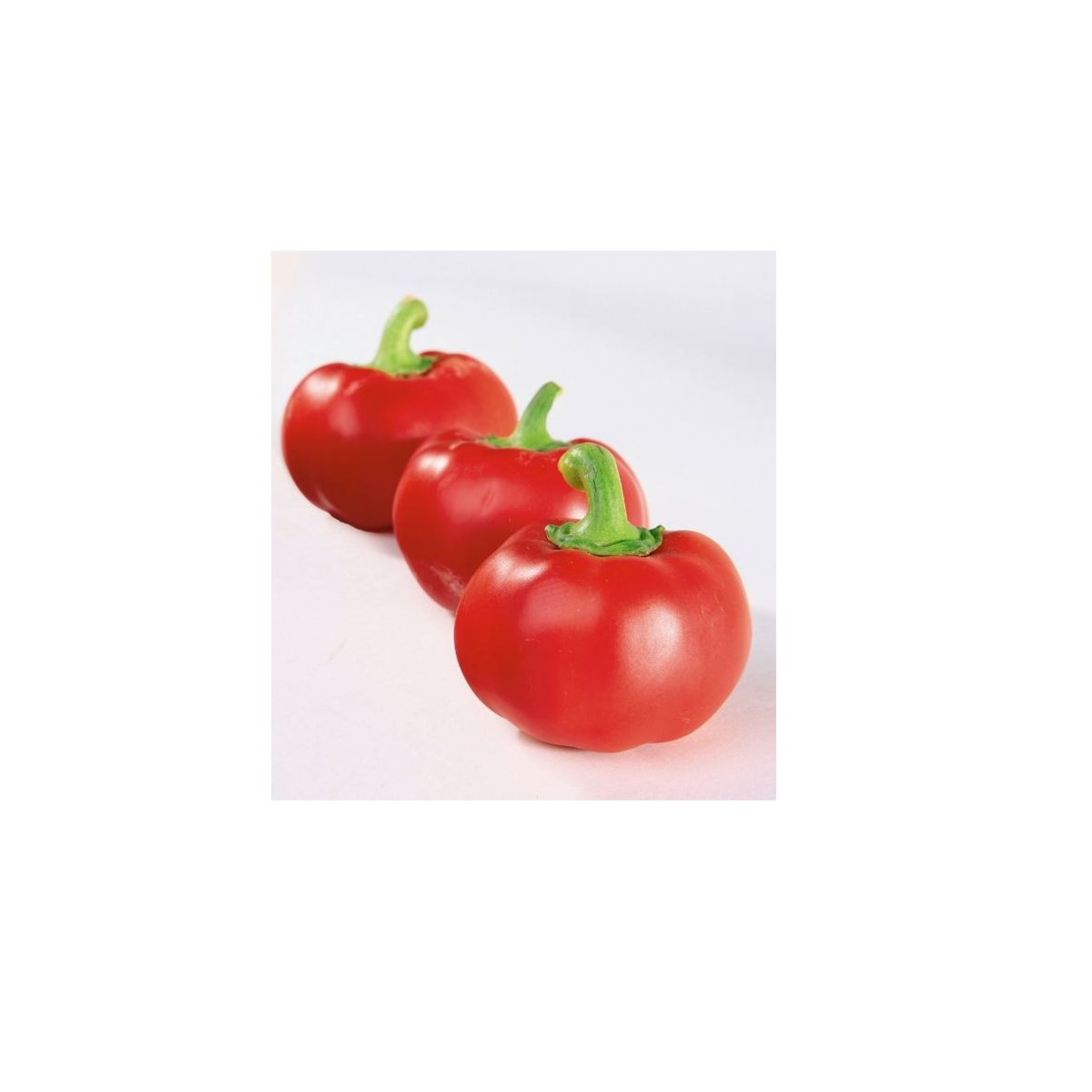 Paprika rajčatová Topgirl - Capsicum annuum - prodej semen - 7 ks