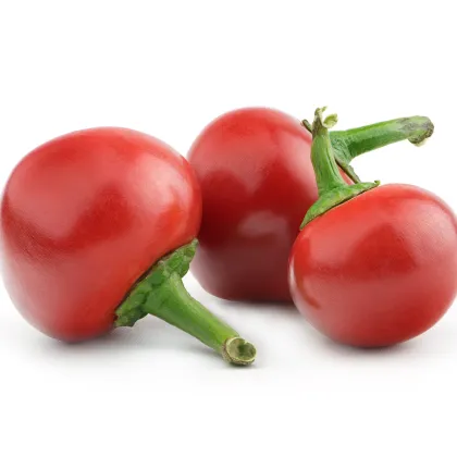 Chili- Bomba v ráji- semena Chili- 6 ks