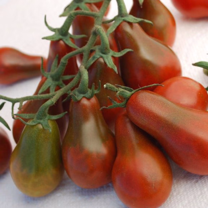 Rajče Chocolate Pear - Solanum Lycopersicum - prodej semen - 6 Ks