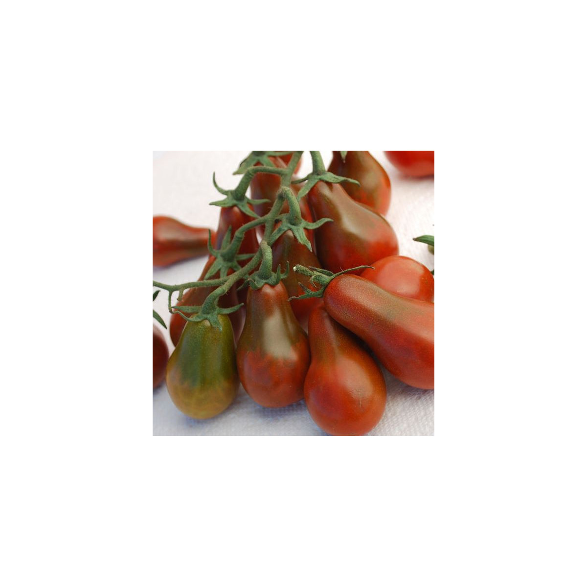 Rajče Chocolate Pear - Solanum Lycopersicum - prodej semen - 6 Ks