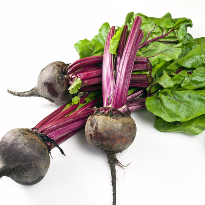 BIO Řepa červená Detroit 2 - Beta vulgaris - prodej bio semen - 50 ks