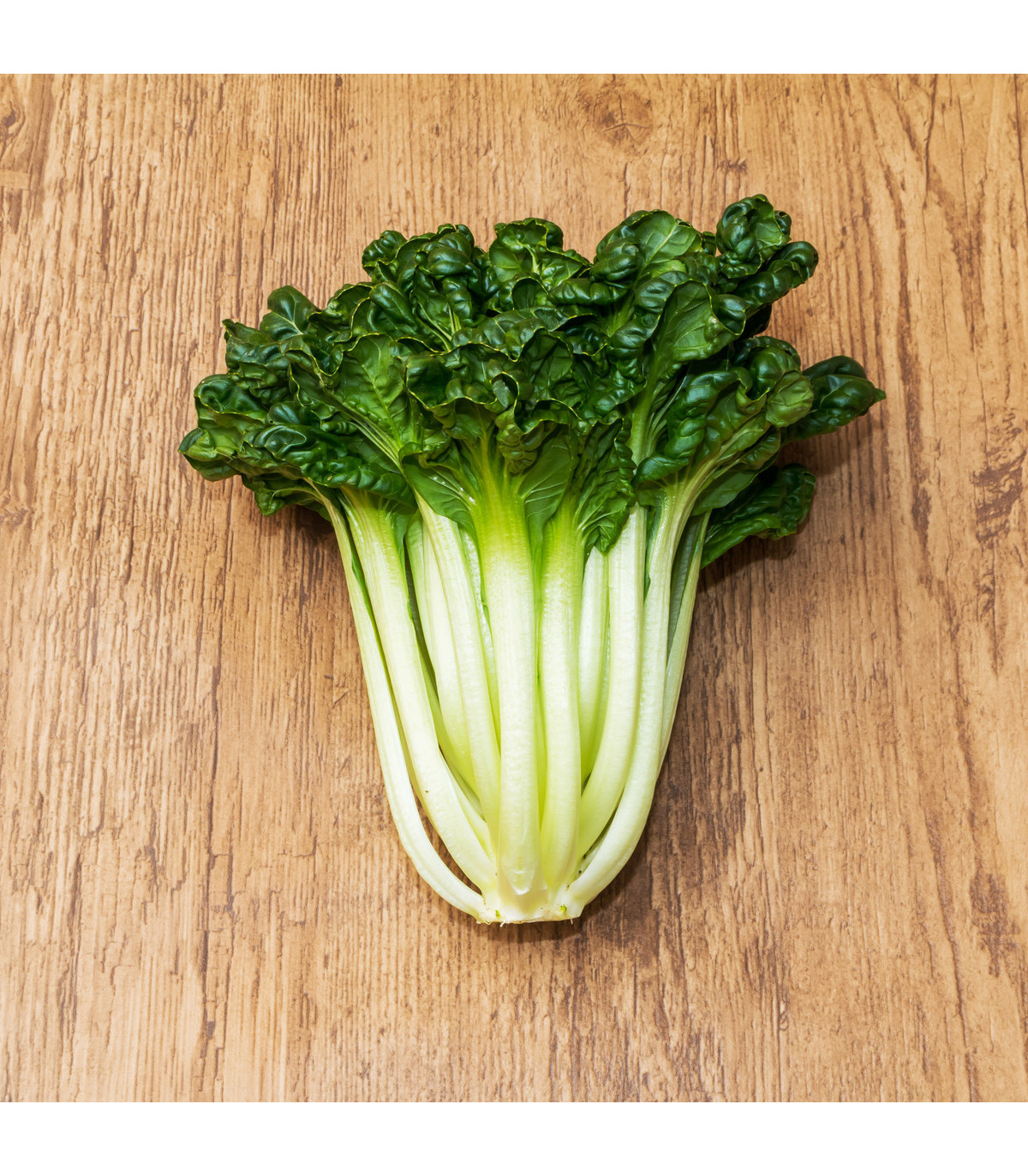Semínka asijské zeleniny - Brassica rapa var rosularis - Pak Choi Hanakan F1 - prodej semen -  0,2 g