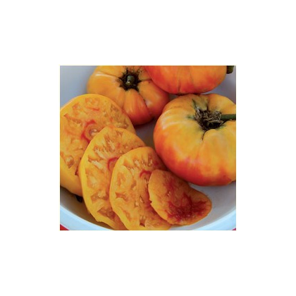 Rajče- "Zlatá medaile"- semena- 6 ks