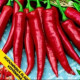 Semínka papriky -  Capsicum annuum - Paprika Hodonínská sladká - prodej semen - 90 ks