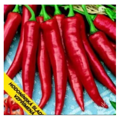 Semínka papriky -  Capsicum annuum - Paprika Hodonínská sladká - prodej semen - 90 ks