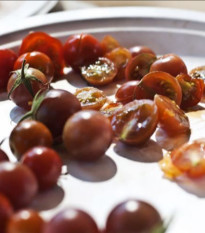 Rajče Brown berry - Solanum lycopersicum - prodej semen - 7 ks