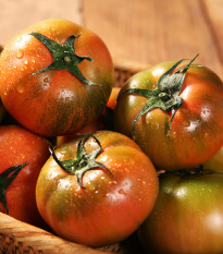 Rajče Černý muž - Solanum lycopersicum - prodej semen - 6 ks