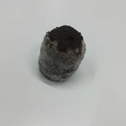 Sadbovací tablety před použítím a po použití