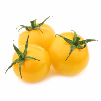 Bio rajče tyčkové koktejlové Topaz - Solanum lycopersicum - prodej semen - 6 ks
