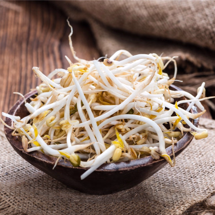 Semena na klíčky - Fazole mungo - semena - 20 g