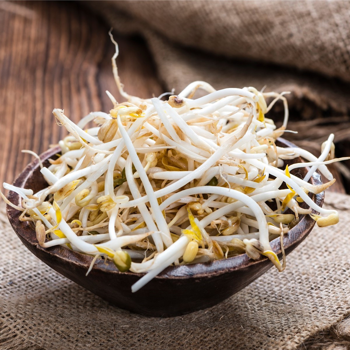 Semena na klíčky - Fazole mungo - semena - 20 g