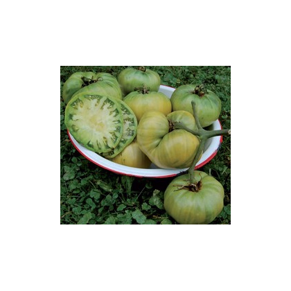 Rajče- Teta- semena- 6 ks