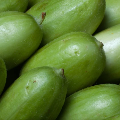 Meloun zeleninový Carosello Baresey - Cucumis flexuosus - prodej semen - 7 ks