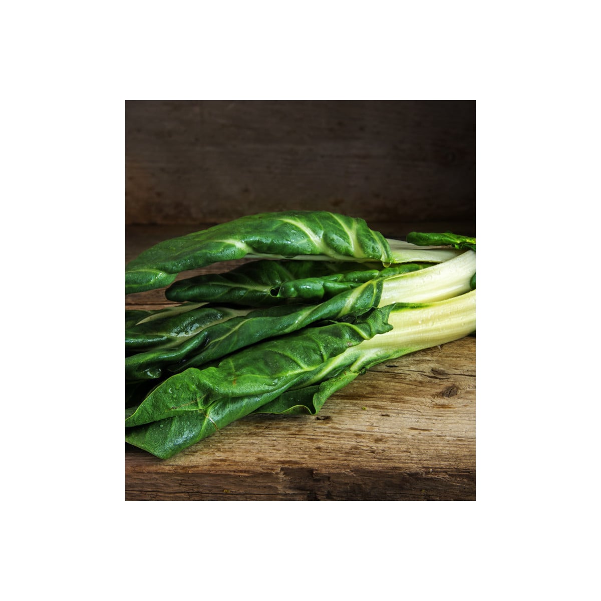 BIO Mangold Lucullus - Beta vulgaris - prodej bio semen - 45 ks