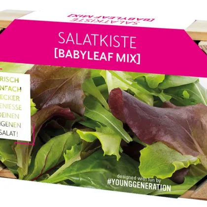 Pěstební sada na saláty s dřevěným květináčem – 1 ks