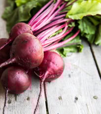 Řepa salátová Pablo F1 - Beta vulgaris - prodej semen - 50 ks