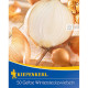 Cibule sazečka Senshyu Yellow - Allium cepa - prodej cibulek - 50 ks