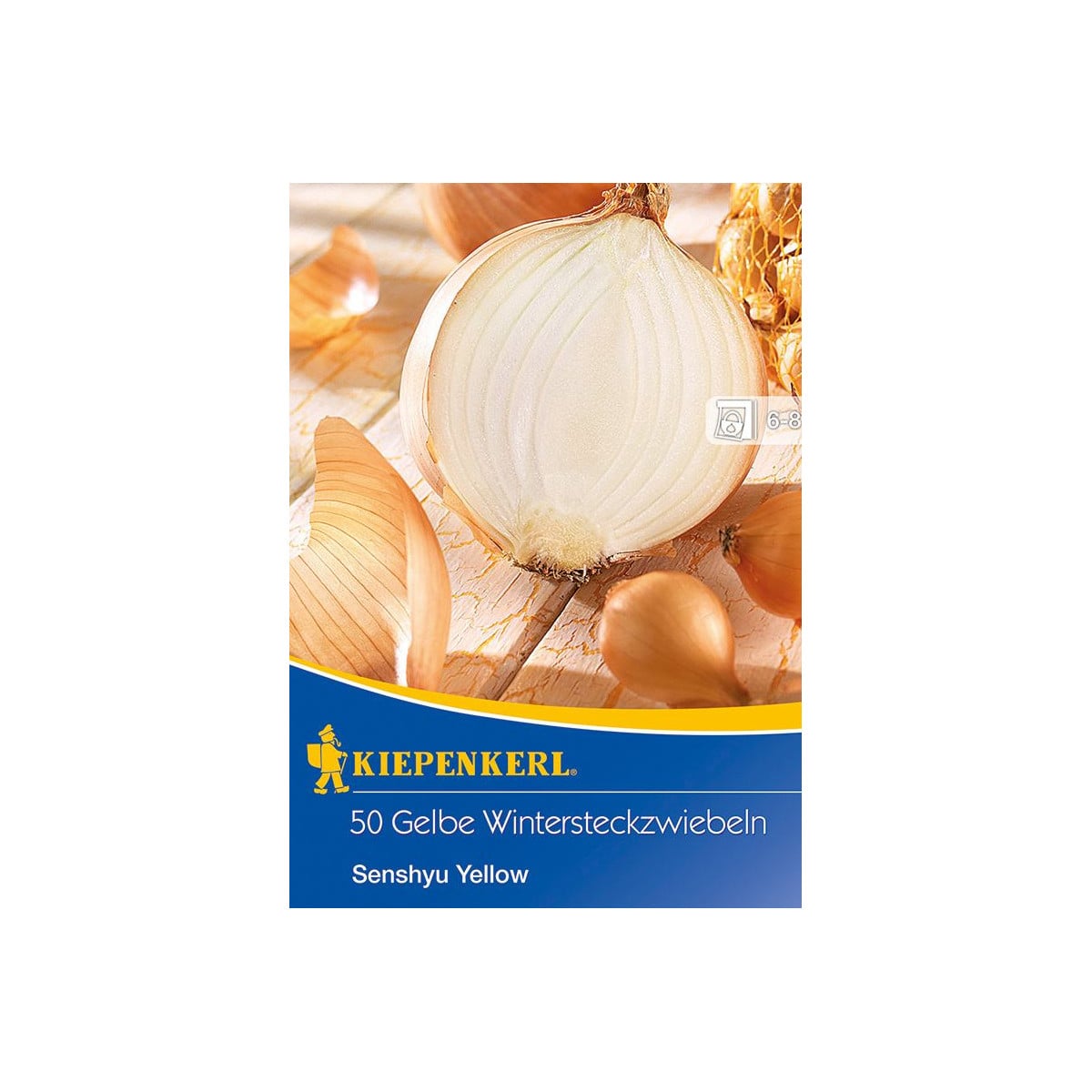 Cibule sazečka Senshyu Yellow - Allium cepa - prodej cibulek - 50 ks