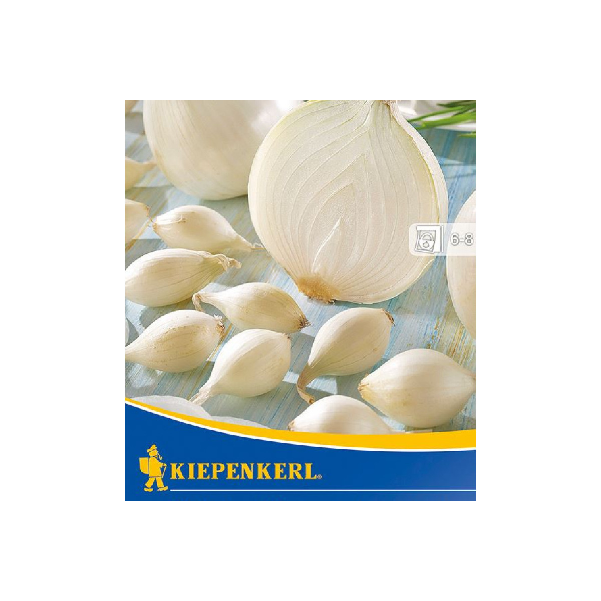 Cibule sazečka Silvermoon - Allium cepa - prodej cibulek - 50 ks