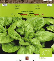 BIO Špenát Geant d'hiver - Spinacia oleracea - bio semena - 10 g