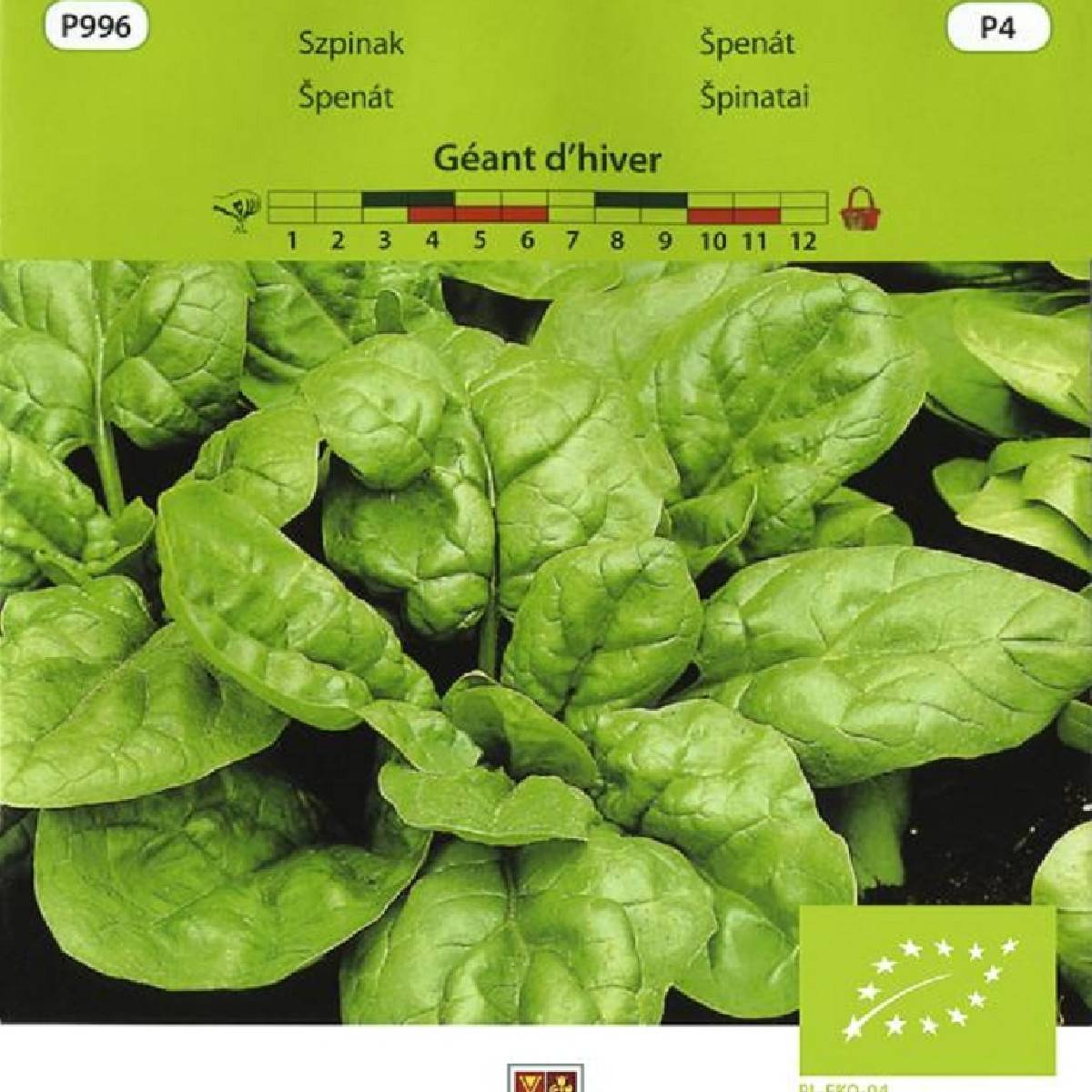 BIO Špenát Geant d'hiver - Spinacia oleracea - bio semena - 10 g