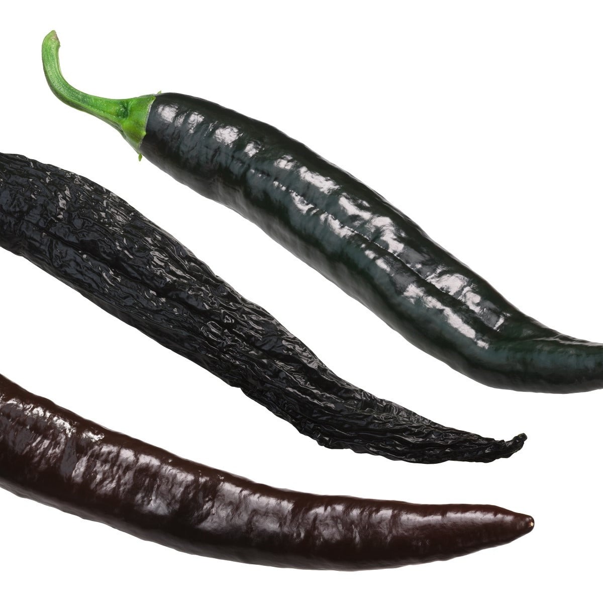 Chilli Pasilla Bajio - Capsicum annuum - prodej semen - 7 ks