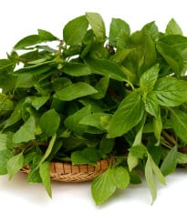 BIO Bazalka zelená - Ocimum basilicum - prodej bio semen - 200 ks