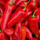 Paprika Lipari F1 - Capsicum annuum - prodej semen - 5 ks
