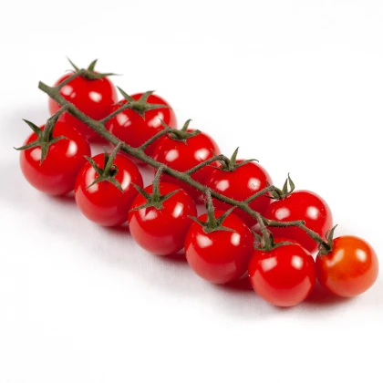 Rajče divoké rybízové Sweet Pea - Solanum pimpinellifolium - prodej semen - 6 ks