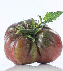 Rajče Black Russian - Solanum lycopersicum - prodej semen - 6 ks