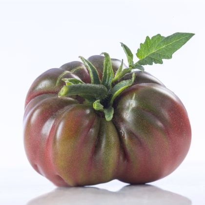 Rajče Black Russian - Solanum lycopersicum - prodej semen - 6 ks