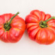 Rajče Brandywine červené - Solanum lycopersicum - prodej semen - 7 ks