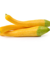 Cuketa Zephyr F1 - Cucurbita pepo - prodej semen - 6 ks