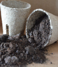 Speciální substrát pro jehličnany - prodej substrátů - 100 g