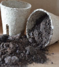 Speciální substrát pro jehličnany - prodej substrátů - 100 g