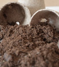 Speciální substrát pro bambusy - prodej substrátů - 100 g