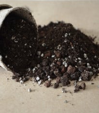 Speciální substrát pro palmy - prodej substrátů - 100 g