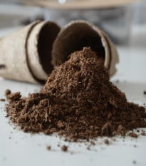 Speciální substrát pro čajovníky - prodej substrátů - 100 g