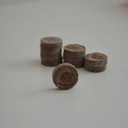 Rašelinové zakořeňovače - Jiffy - 33 mm - 10 ks