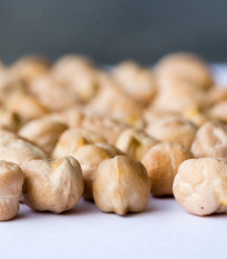 Cizrna Pascia - Cicer arietinum - prodej semen - 10 ks