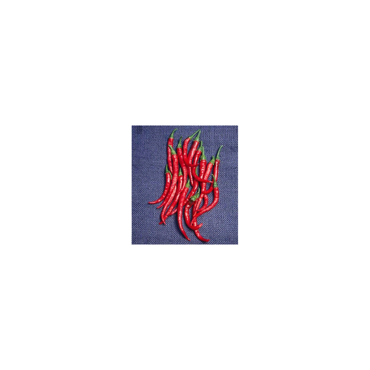 Kajenský pepř - Cayenne pepper - EXTRA dlouhý - 6 ks
